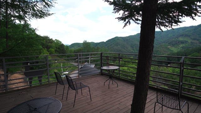 전망대에서 바라본 울창한 산 전경