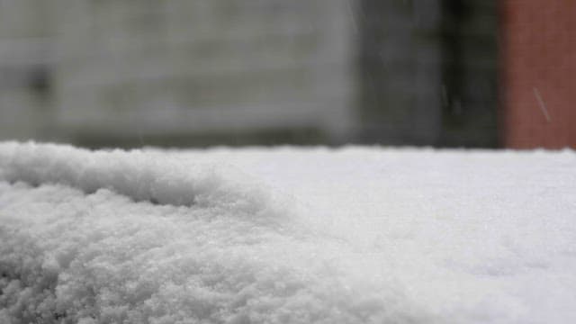 White, clean snow piling up on the ground on a cold winter day