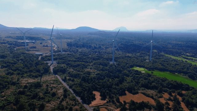 넓은 녹지에 있는 풍력 터빈