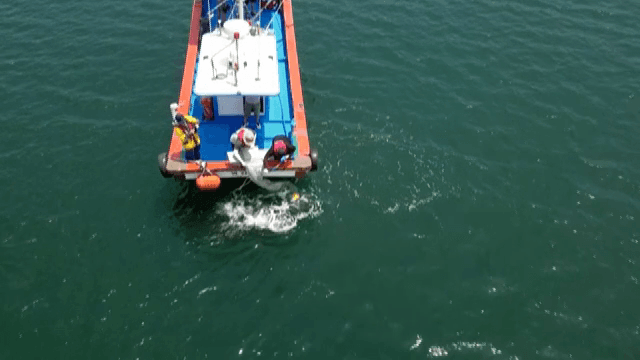 사람들이 일하는 바다 위의 배