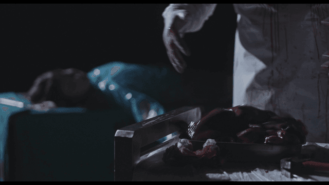 어두운 수술실에서 장기를 내려놓는 외과의사