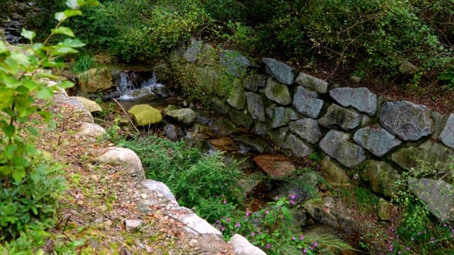 Small stream flowing through rocks