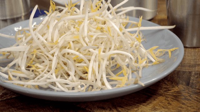 신선한 콩나물 한 접시