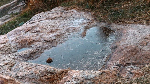 바위 표면에 고인 빗물