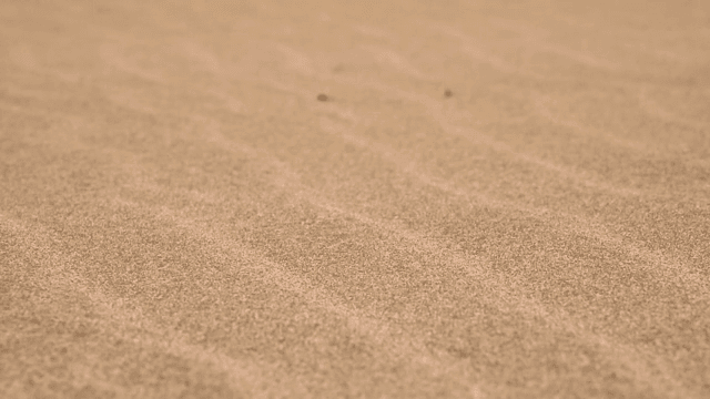 모래의 물결무늬 클로즈업