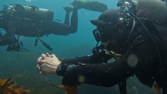 Scuba diver exploring the blue sea with an oxygen tank