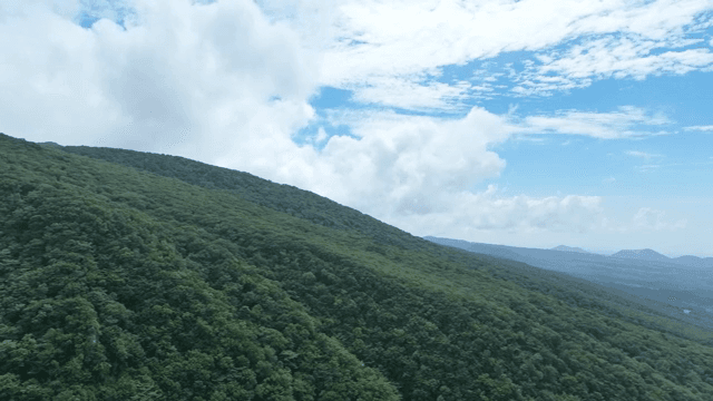 Green mountain under a clear sky