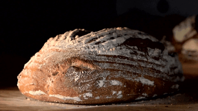 Brown sourdough baked in oven