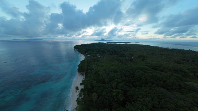 Quiet beach on an island with lush forest at dawn