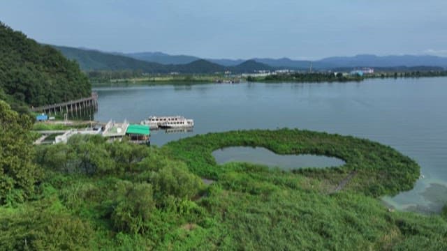 Aerial View of a Heart-Shaped Water Plant Island