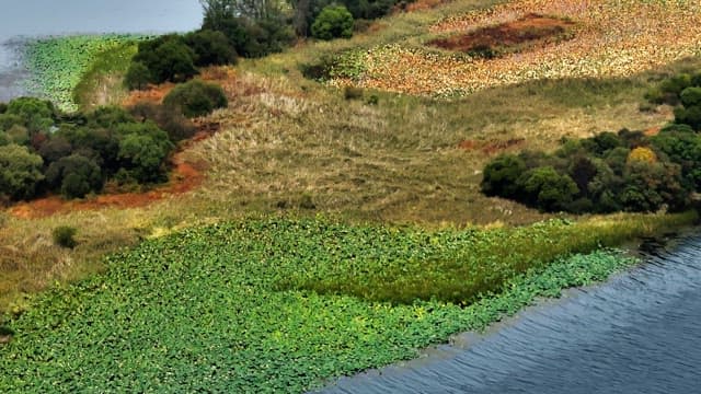 View of a lush green landscape