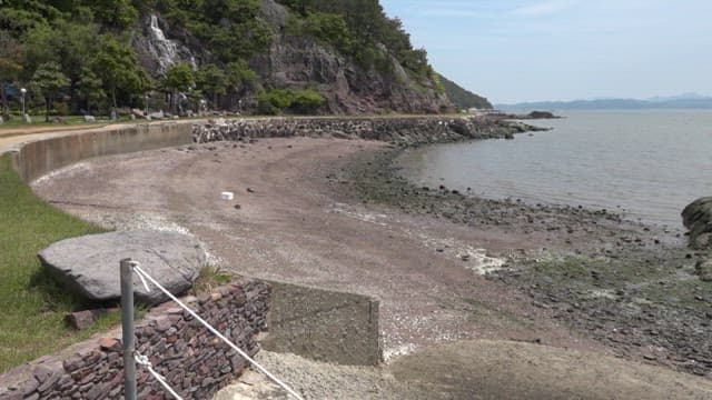 바위 해변에서 작은 조개를 잡고 있는 아이