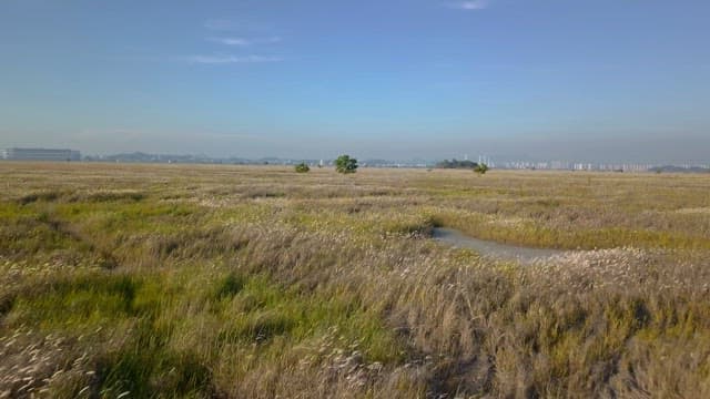 Vast field with distant cityscape