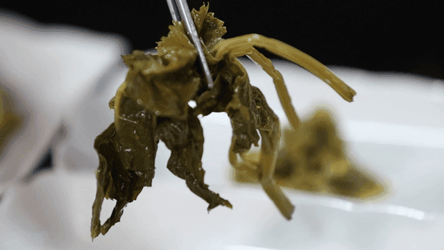 Chopsticks holding seasoned greens