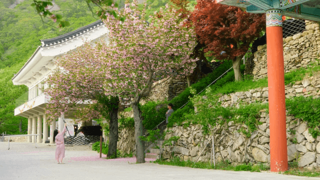 Cherry blossoms and couple near a traditional building