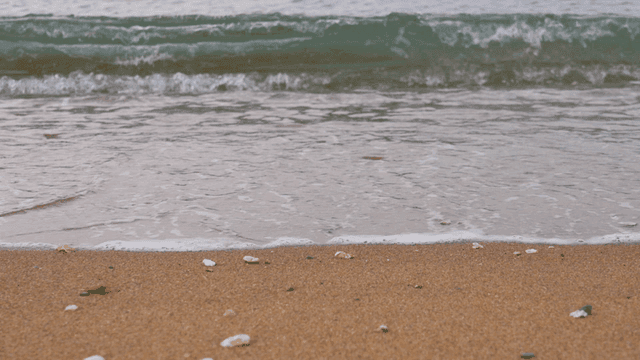 모래사장에 부드럽게 밀려오는 파도