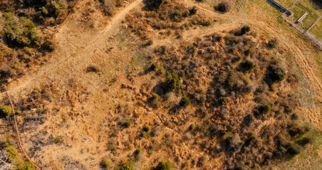 숲과 구불구불한 길의 항공 뷰