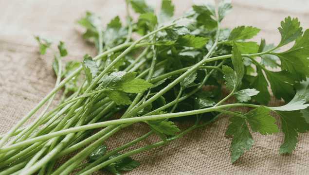 질감 있는 천 위의 신선한 미나리