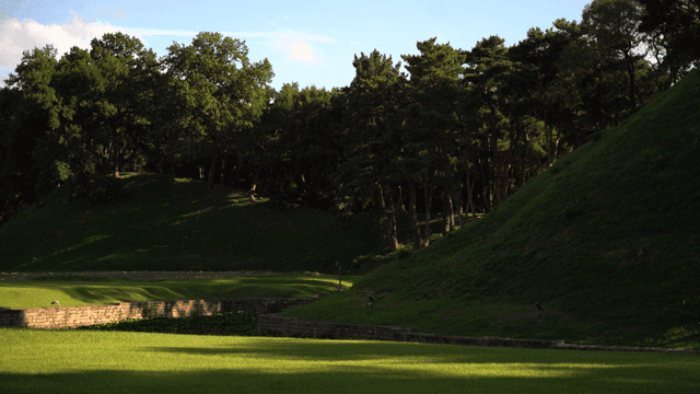 푸른 언덕이 있는 고요한 숲