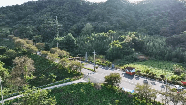 푸른 숲을 가로지르는 직선 도로