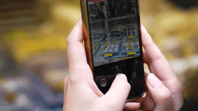 Hand taking picture of food display with smartphone.