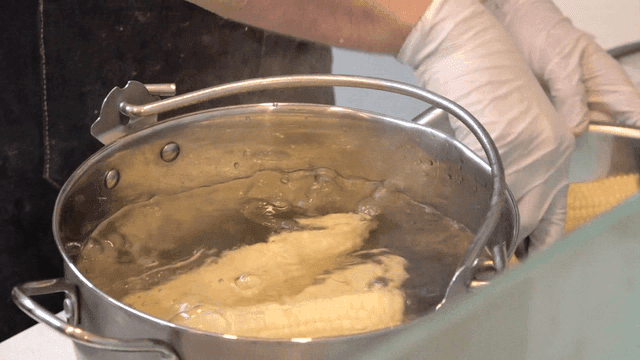 Tongs placing corn into pot of boiling water
