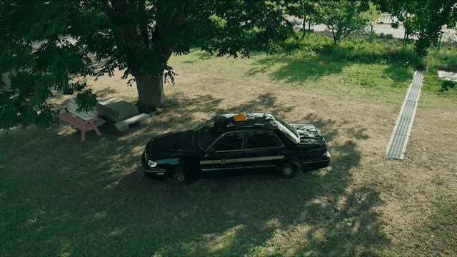 Taxi parked under big tree