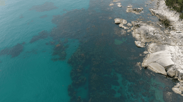 맑은 청록색 바다와 바위 해안선