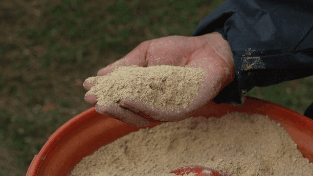 빨간 용기에 가축 사료를 든 손