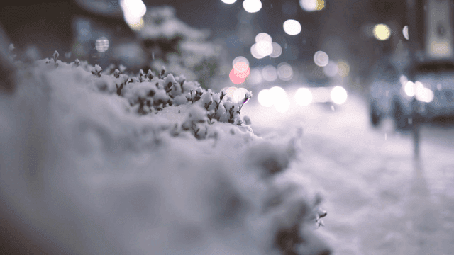 Snow-covered streets at night
