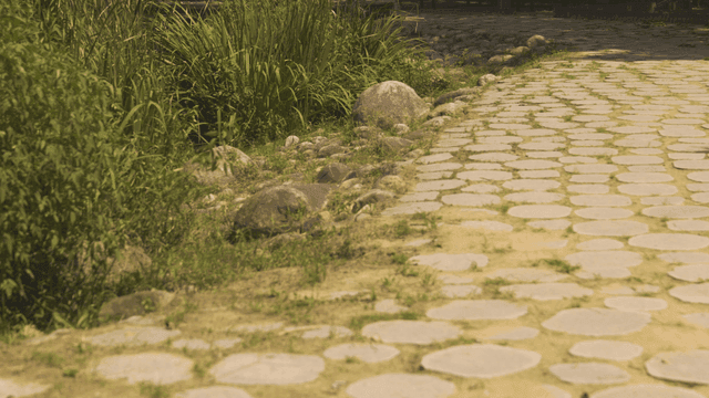 Stone paths and green plants