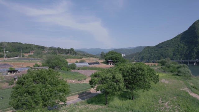 Scenic Countryside with Cultivated Fields