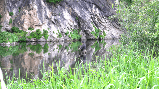 가운데에서 낚시하는 사람이 있는 넓은 강
