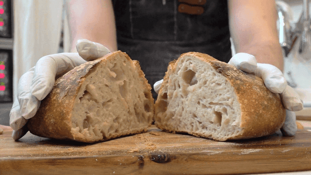 Freshly baked steamy campagne bread cross-section
