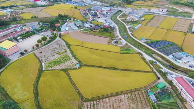 Rural village surrounded by fields