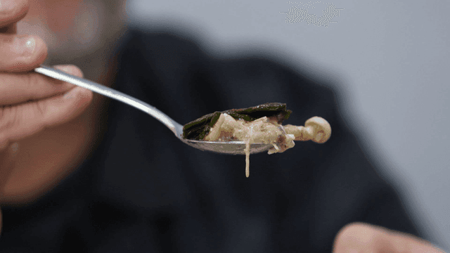 Spoonful of vegetables and mushrooms