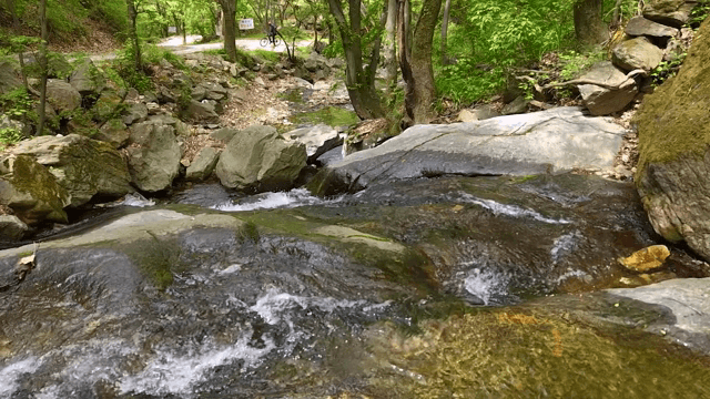 Small stream flowing over rocks