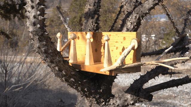 가시나무 위의 수제 목재 선반