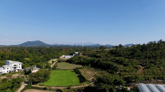 풍력 터빈이 있는 농촌 풍경