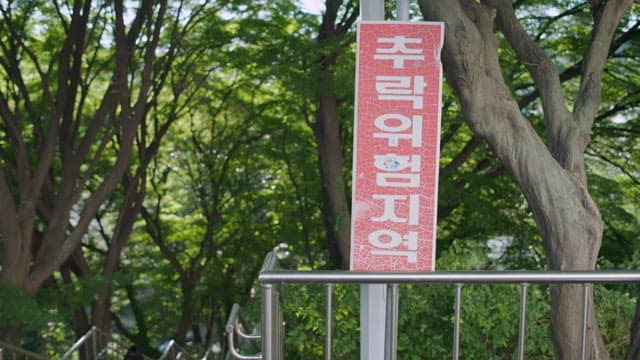 Back of person sitting on a staircase surrounded by green trees