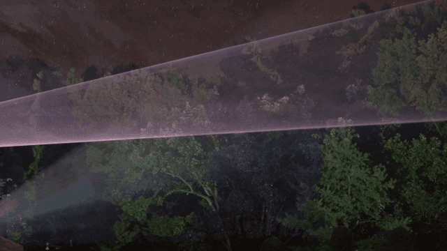 Colorful lights shining above forest