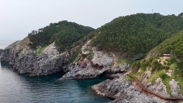 Coastal cliffs with lush greenery