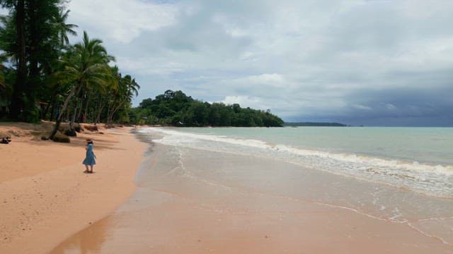 Tropical beach with palm trees and waves