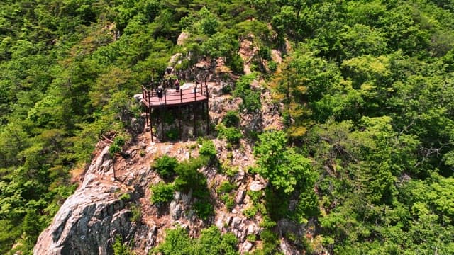전망대가 있는 푸른 숲의 경치