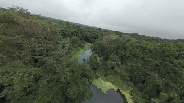 Clear and blue lake in the middle of a rainforest full of greenery