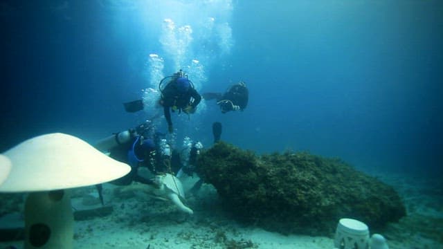 Divers installing a statue underwater in clear ocean