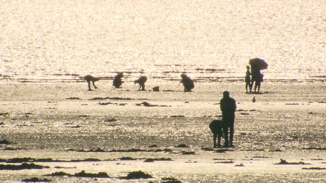 Silhouetted People Walking at Sparkling Shoreline