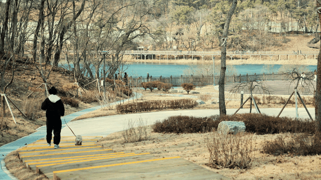 강가 공원에서 개를 산책하는 사람의 뒷모습