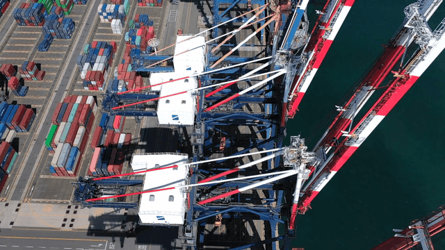 Container cranes at a busy port