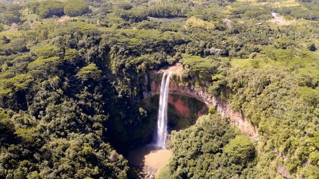 높은 폭포가 있는 울창한 숲